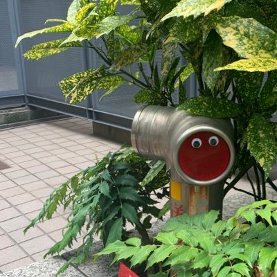 AManojack1234's profile picture. 演劇部|天邪鬼はハンネ|吉岡？は芸名（仮）|テレビ離れと無縁|芸術知能犯| 九萬|イセキ|#アマツラジオ 💯