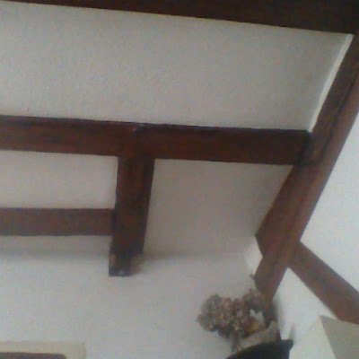 lamasabactani67's profile picture. 