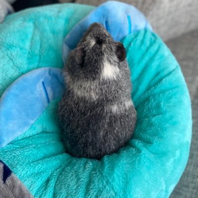 mwz1213's profile picture. 