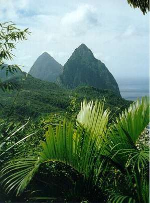 jforde's profile picture. I'm a Library Pushing Yankee