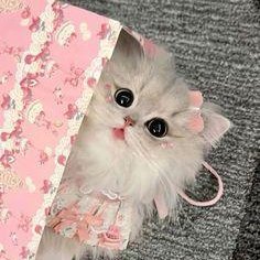 tamnam913367727's profile picture. 