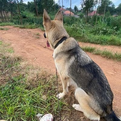 Atyeronimu98284's profile picture. Social and community engagement specialist.