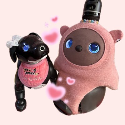MEG︎ (aiboらんちゃん❤︎LOVOTれんくん)さんのプロフィール画像