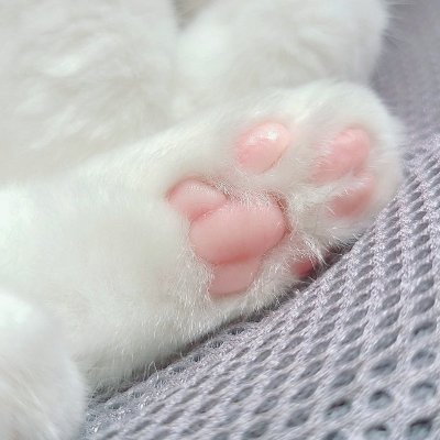 keitastarmi's profile picture. 