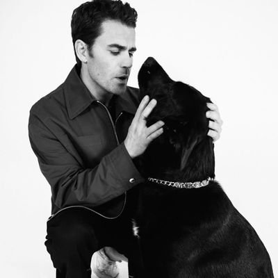 PaulWesley52's profile picture. 