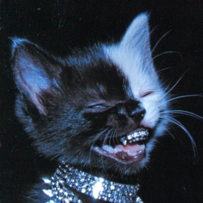 Lowgzn's profile picture. Prod & design 3D | Guadeloupe & Swiss 🏴‍☠️