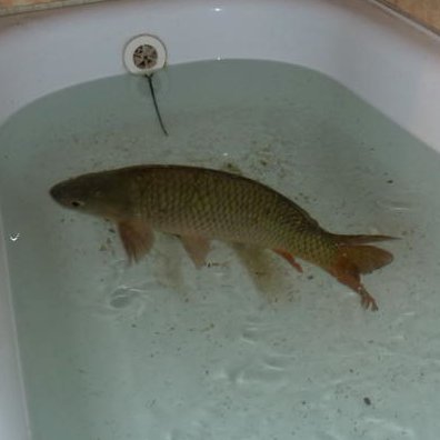 directoryuser_1's profile picture. adult / got contracts

owww owww kidney stones in my kidneys ohhh :(