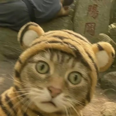 tt9296387956517's profile picture. 