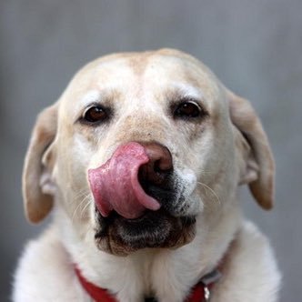 Golf1562002's profile picture. 