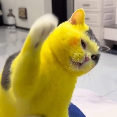 sword560's profile picture. 