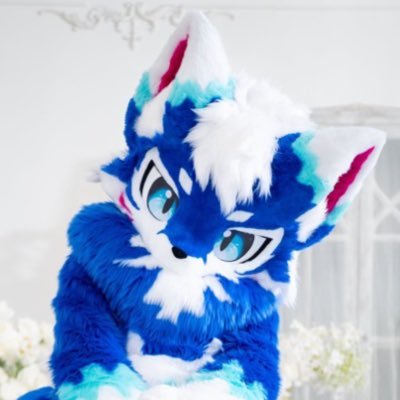 nami_sharkfox's profile picture. さめきつねのナミカゼだよ！あるじといっしょにくらしてるよ〜✨すきなものはお魚にあそぶことにイタズラ！みんなよろしくね〜