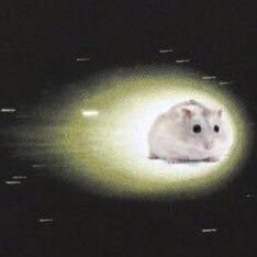 MRubberson92660's profile picture. Hi guys, Im getting grounded soon