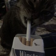 neramanescia's profile picture. 