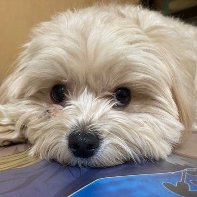 zmt0525's profile picture. 