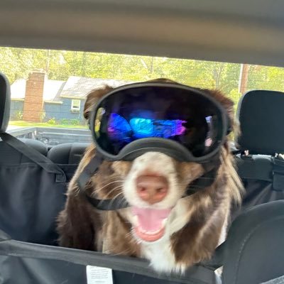 rbc8_'s profile picture. 