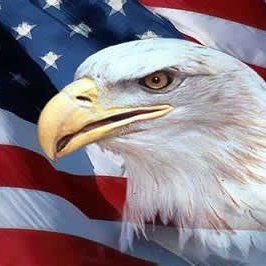 usdrillbattery's profile picture. 