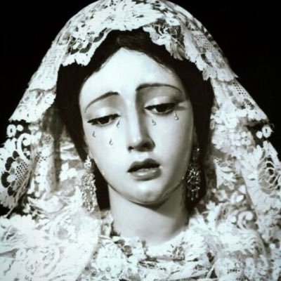oatmilk61's profile picture. 21 ⚔️ white latina 🫀 anti-fascist vegetarian radfem 🪦 draculaura irl