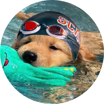 ngbtry's profile picture. 조아하는 강아지 잇어?៖ 20+