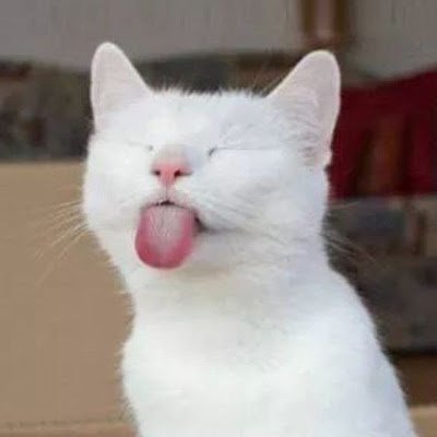 Iliekpancak666's profile picture. 