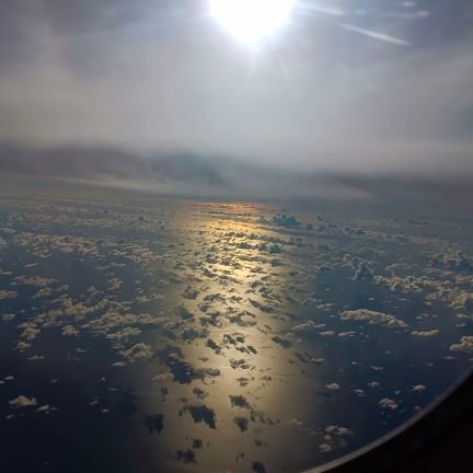 ylhsa3's profile picture. Embrace your flaws ✨🧩⏳ (have pretty bad social anxiety.