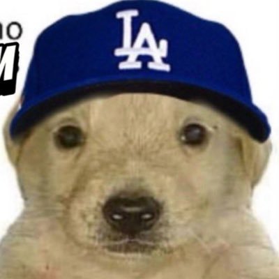 Dogedi1010's profile picture. Truth is i stopped knowing what we were doing a long time ago