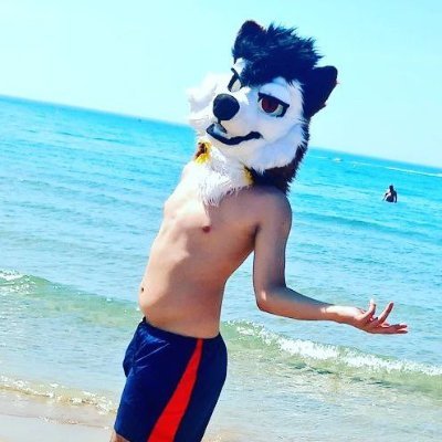 21 yo/ Gayโจ/ Folf ๐บ๐ฆ /๐ 1st Fursuiter of France to past on the officiel channel of @NintendoFrance ๐
Artist and make 2D animations ๐จ๐๏ธ
Furrymon Masterโจ