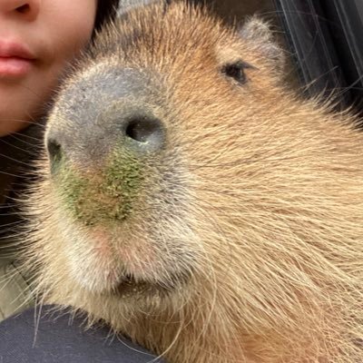 adansoni_almand's profile picture. 猫/虫/爬虫類/骨標本/宝石/ホラー/ジブリ/しごみせ/ずっとROM専でした/あまがえる