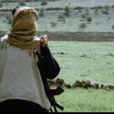 QSirajUmair's profile picture. Siraj Official
writer photography cinematography and graphic designer of the Islamic Emirate of Afghanistan.
 
Tweets are Personal.