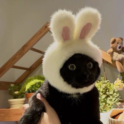 Leehal95's profile picture. apenas um pouco da minha loucura