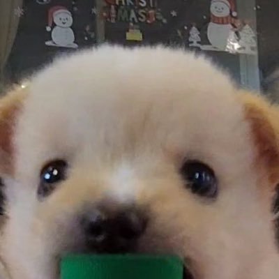 뽀둥뽀둥