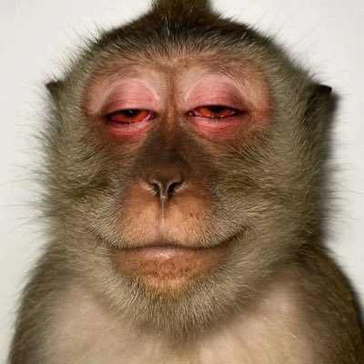 xevia_king's profile picture. 