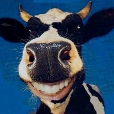 0zHaLan's profile picture. Hunter and Grocery store owner. Always smile friendly to everyone