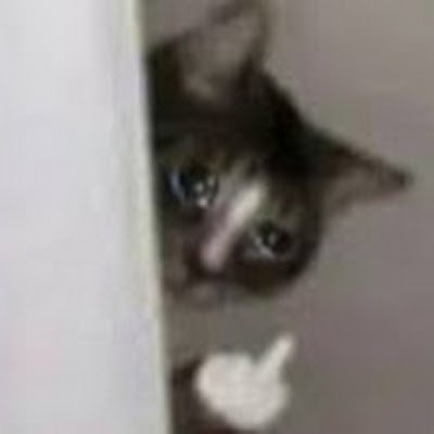 TellMeWhyYour's profile picture. account by an autistic dipshit