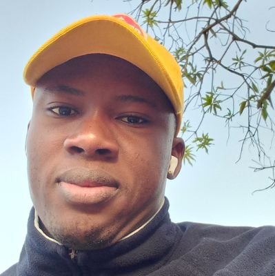 SaliuJamiu17's profile picture. Website Developer | Gaming Programmer | App Developer |
Co-Founder @ InkspireLiteraryStudio| 📈 Helping Authors Gain Visibility & Sales | 🎯 Amazon Opt Expert
