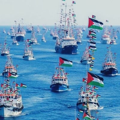 NLSSupporter's profile picture. 