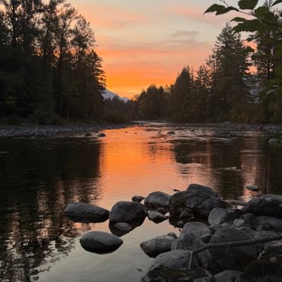 rebel98045's profile picture. 