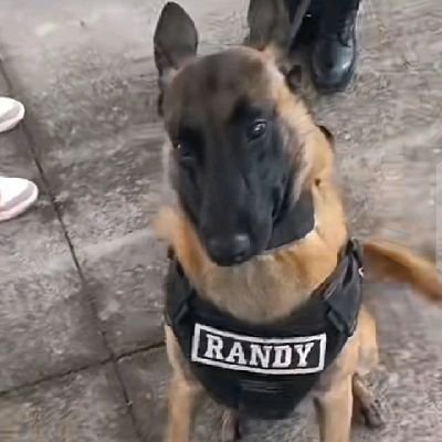 AliduTony's profile picture. I'm a person of trust and that's all that is to be