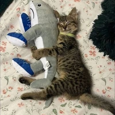 Phwhhhhhhhhhhhh's profile picture.