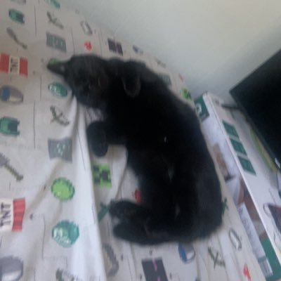 V_isHere0's profile picture. hiya losers✌️