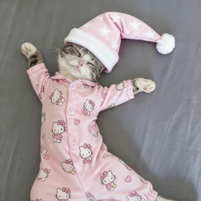 kuroAkuma_val's profile picture. kuro_akuma