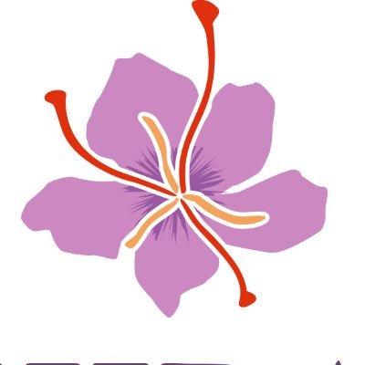 HAlkatea's profile picture. 