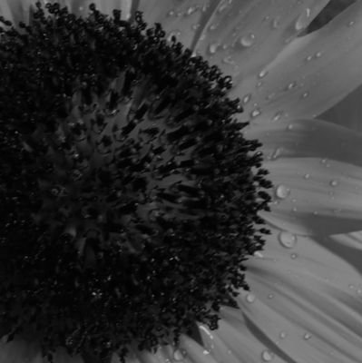 JJErasmus290837's profile picture. the fucking wild persoon on planet earth