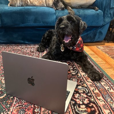 fridaysgrace's profile picture. 