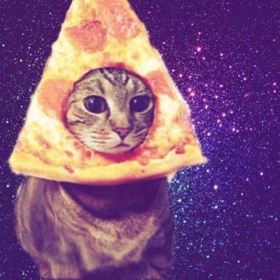 elatacie's profile picture. guys i rebranded to do art plz dont forget me