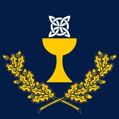 o_foral_galego's profile picture. Agrupación activista e de difusión intelectual tradicionalista, galeguista e xuvenil.                                             
Saúde e terra!