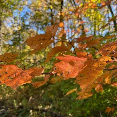 EKleinChr's profile picture. I am a human made in the image of God, and so are you. Unless *you* are a bot.   Bluesky: @ekleinchr.bsky.social