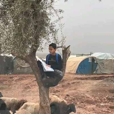 Thamer_Z216's profile picture. فيا نفس جُدّي إنّ دهركِ هازلُ