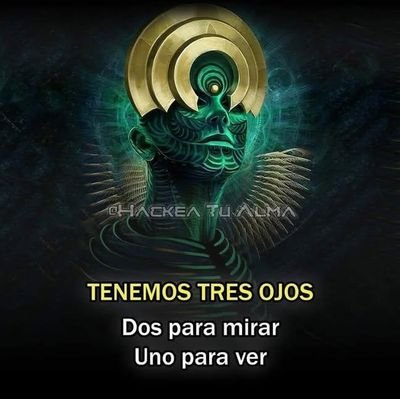 no_datax's profile picture. Dios ,Patria y familia