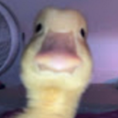 weisgefahr75693's profile picture. 