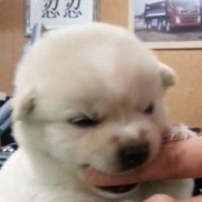 nnnt_xoxp's profile picture. aespa💙🌙⭐️🦋|#beonnnie 🐰| #emiamily 🦊|  แค่ชอบหวีดคนสวย